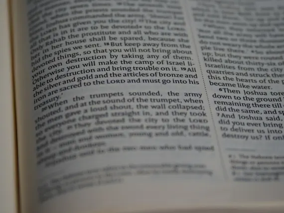 توب تالي كازينو الدعم